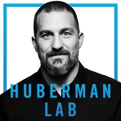 The logo for Huberman Lab